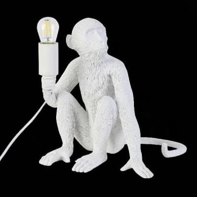 Интерьерная настольная лампа Tenato SLE115104-01 Evoluce