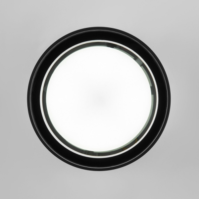 Потолочный светильник уличный Elektrostandard Light 35144/H черный