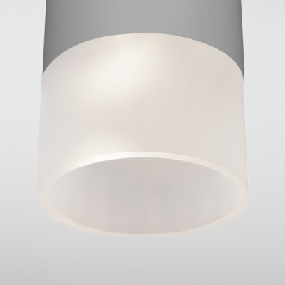 Потолочный светильник уличный Elektrostandard Light LED 35139/H серый
