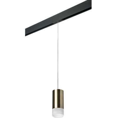 Трековый светильник Lightstar Rullo PRORP43131