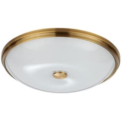 Настенно-потолочный светильник Odeon Light Pelow 4956/5
