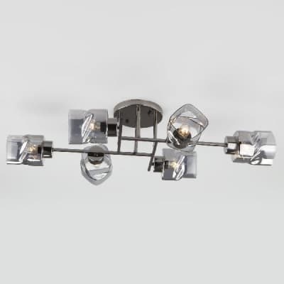 Потолочная люстра Eurosvet Hilari 30165/6