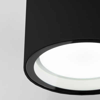 Потолочный светильник уличный Elektrostandard Light 35144/H черный
