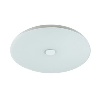 Настенно-потолочный светодиодный светильник Sonex Roki Muzcolor 4629/CL