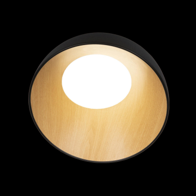 Потолочный светильник Egg 10197/350 Black Loft It