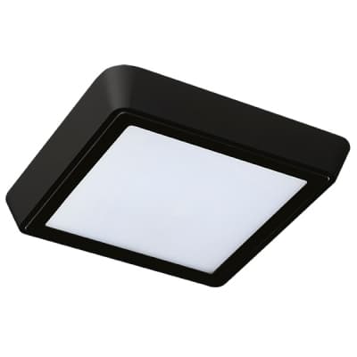 Настенно-потолочный светильник Lightstar Urbano 216872