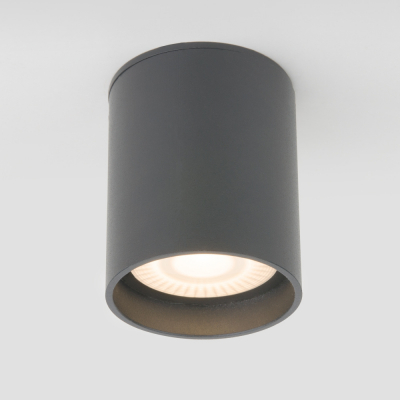Потолочный светильник уличный Elektrostandard Light LED 35130/H серый