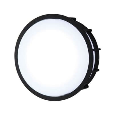 Настенный светильник уличный L'Arte Luce Telma L78055.31