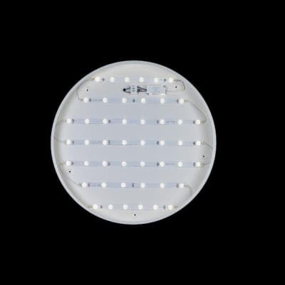 Потолочный светильник Axel 10002/48 White Loft It