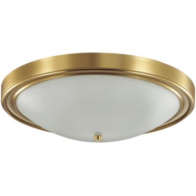 Потолочный светильник Lumion Nina 5259/4C