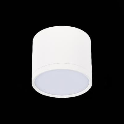 Точечный светильник Rene ST113.542.09 ST Luce