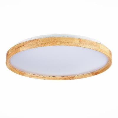 Потолочный светильник Evoluce Delia SLE201382-01