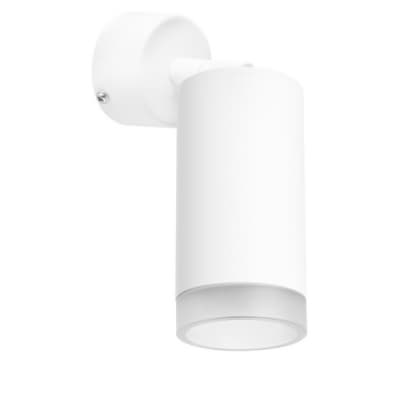 Потолочный светильник Lightstar Rullo RB43630