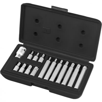 Набор бит TORX, хвостовик-шестигранник, 10 мм, CrV, 15 предметов Stels 11315