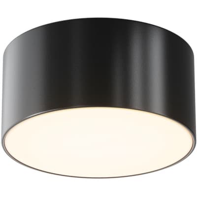 Потолочный светильник уличный Maytoni Zon IP O430CL-L15B3K