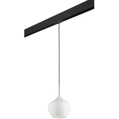 Трековый светильник Lightstar Pentola PRO803040