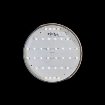 Потолочный светильник Axel 10004/36 Grey Loft It