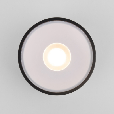 Потолочный светильник уличный Elektrostandard Light LED 35141/H черный