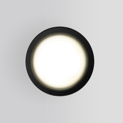 Потолочный светильник уличный Elektrostandard Light 35128/H черный