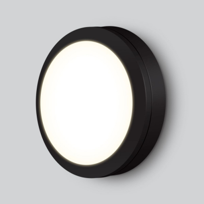 Настенно-потолочный светильник Elektrostandard Circle LTB51