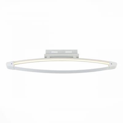 Потолочный светодиодный светильник ST Luce SL920.102.01