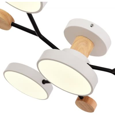 Потолочная люстра Evoluce Faema SLE6006-502-04