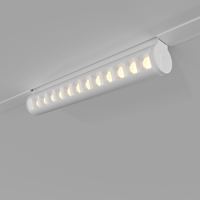 Трековый светильник Elektrostandard Slim Magnetic 85049/01