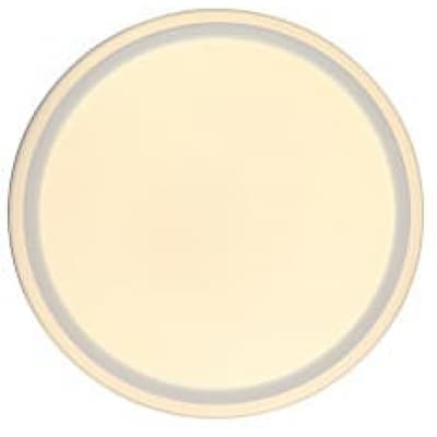 Потолочный светильник Zortes Bella ZRS.1200.04