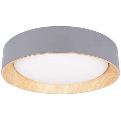 Потолочный светильник Loft It Coin 10202 Grey
