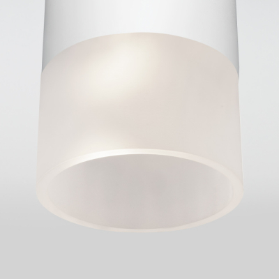 Потолочный светильник уличный Elektrostandard Light LED 35139/H белый