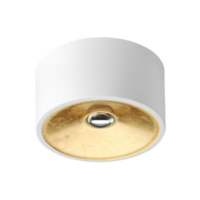 Накладной светильник ODEON LIGHT GLASGOW 3892/1C