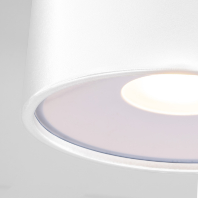 Потолочный светильник уличный Elektrostandard Light LED 35141/H белый