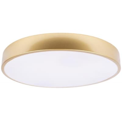 Потолочный светильник Loft It Flims 10228/A