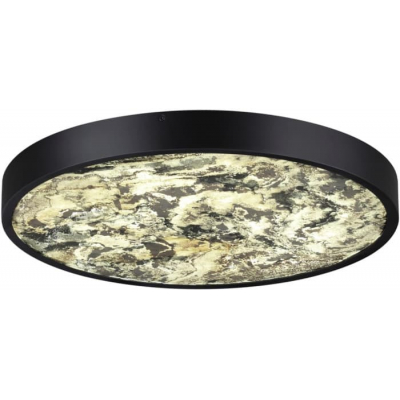 Настенно-потолочный светильник Odeon Light Bergi 5064/40L