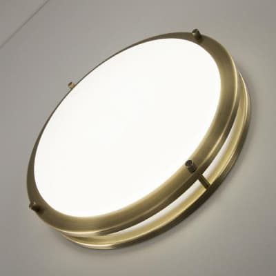 Настенно-потолочный светильник Citilux Бостон CL709323N