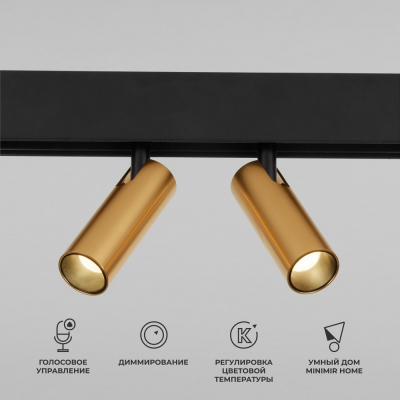 Трековый светильник Elektrostandard Slim Magnetic 85056/01