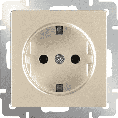 Розетка с заземлением Werkel WL11-SKG-01-IP20 шампань 4690389124556
