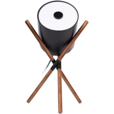 Интерьерная настольная лампа Loft It Bobbin 10245T Black