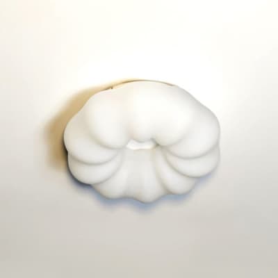 Потолочный светильник Zortes Soft ZRS.1118.2