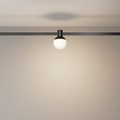 Трековый светильник Maytoni Luna TR149-1-5W3K-B