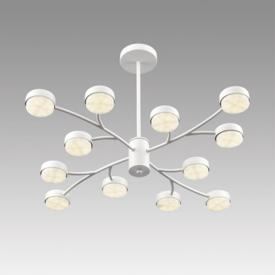 Потолочная люстра Lumion Torina 8265/12