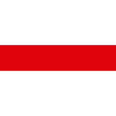 Разметочная клейкая лента ЗУБР 50 мм х 25 м, красная 12244-50-25 Профессионал