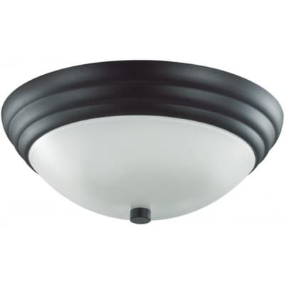 Потолочный светильник Lumion Kayla 5263/2C