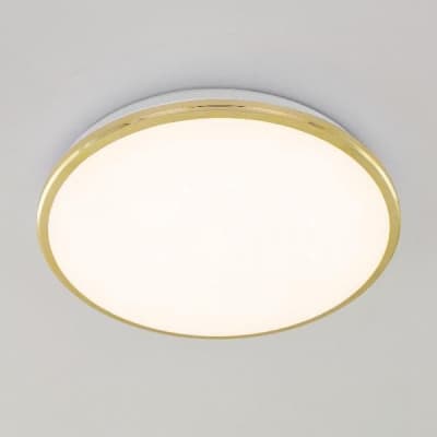 Настенно-потолочный светильник Citilux Луна CL702302Wz