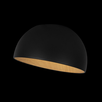 Потолочный светильник Egg 10197/350 Black Loft It