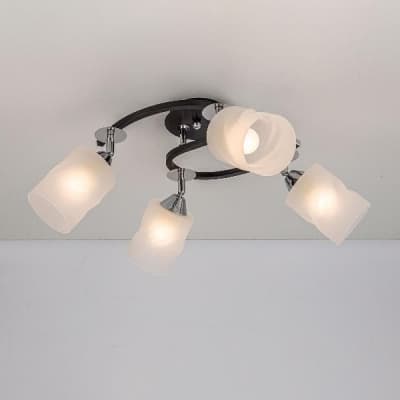 Потолочная люстра Сиерра CL119241 Citilux