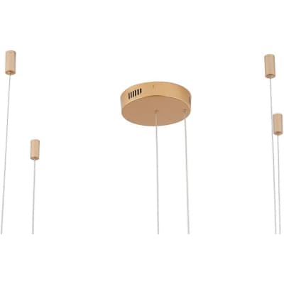 Подвесной светильник Zortes Ringolight ZRS.33320.63F