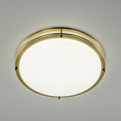 Настенно-потолочный светильник Citilux Бостон CL709503N