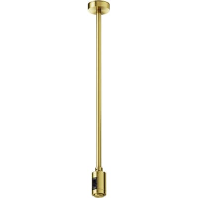 Крепление потолочное Maytoni Accessories for tracks Flarity TRA158C-BL1-BS