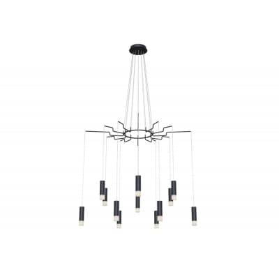 Подвесная люстра Maytoni Davida MOD035PL-12B
